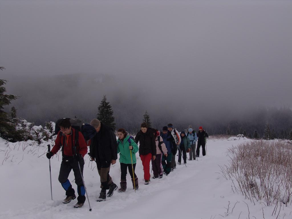 Chalet Truten Vorokhta Dış mekan fotoğraf