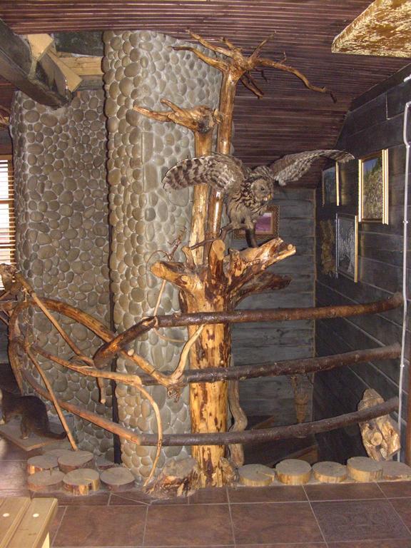 Chalet Truten Vorokhta Dış mekan fotoğraf
